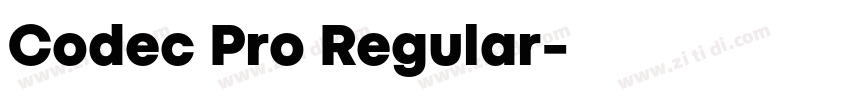 Codec Pro Regular字体转换